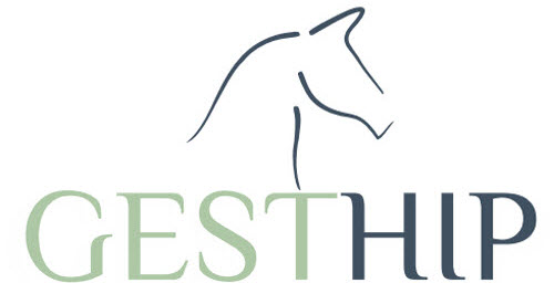 GESTHIP
