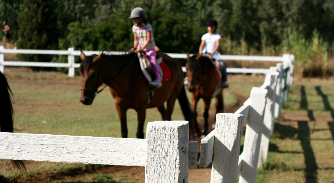 Clases hípica gestión gesthip